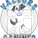 VALEURS-CANINES-educateur-canin