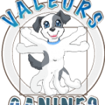 VALEURS-CANINES-education-chien-paris