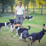 dressage-chien-comportementaliste