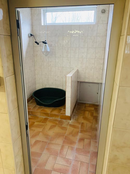 pension-canine-box-chauffe-chien-95-60-oise-val-doise pension pour chien box chauffé val d'oise 95 et oise 60 valeurs canines toute race de chiens