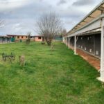 pension-chien-chiot-val-doise-oise-95-60-terrain-valeurs-canines