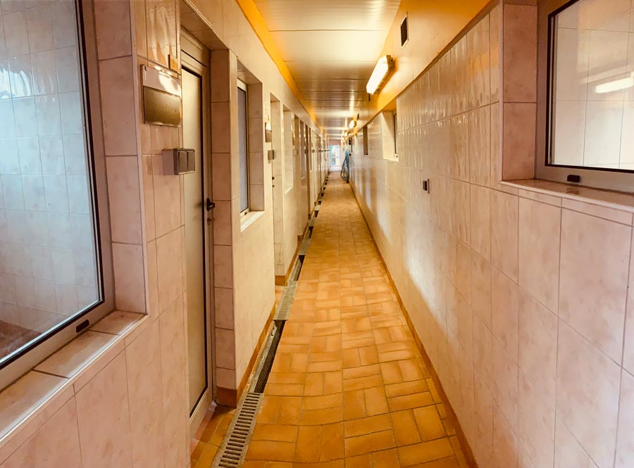 pension-pour-chiens-95-val-doise-oise-valeurs-canines pension canine à attainville dans le val d'oise 95 et l'oise 60 box individuels pour chiens