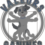 valeurs-canines education chien