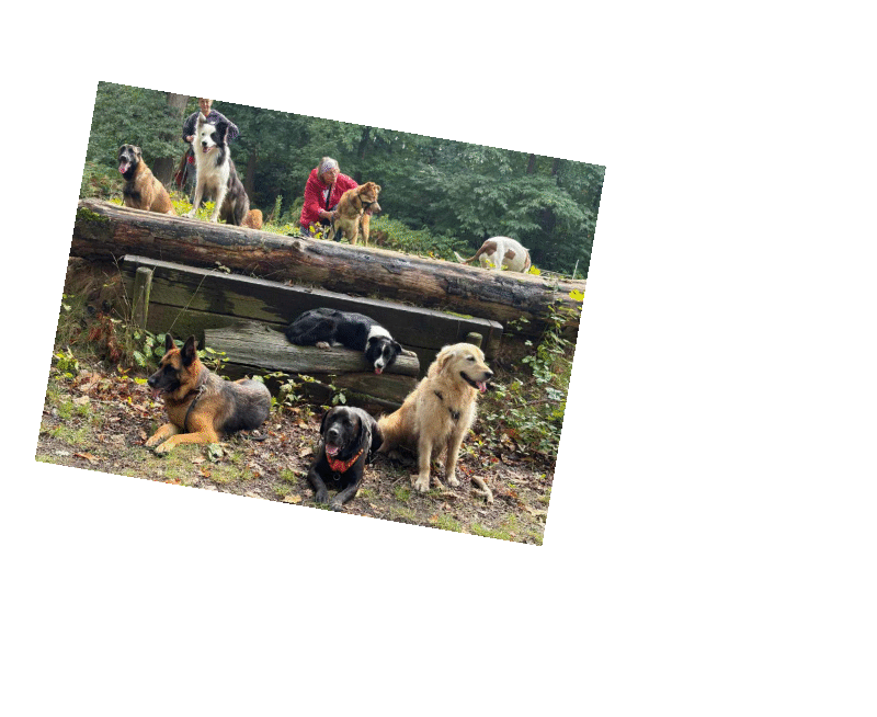 background 3 valeurs