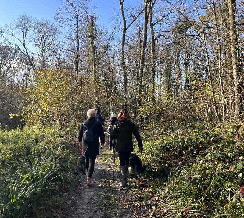 balade educative pour chiens a montsoult dans le val d'oise