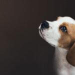 home-hero-free-img.jpg